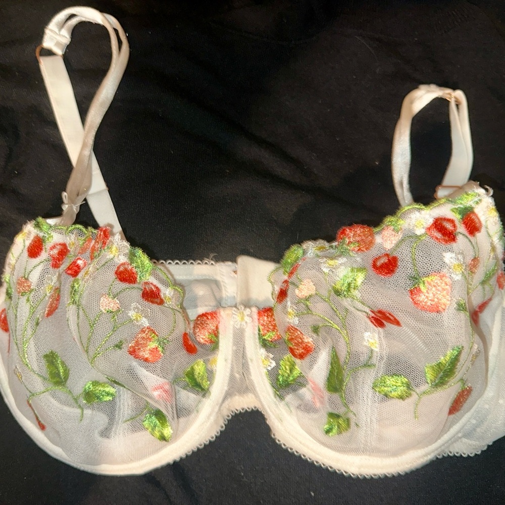 Victoria's Secret Dream Angels Floral Embroidered Bra